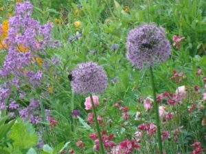 diy-garden-design (1)_