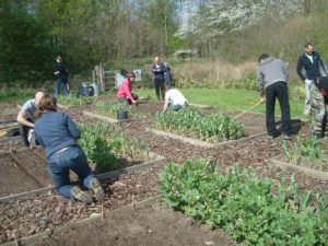 RHS Level 2 Certificate in Practical Horticulture as ‘Blended Learning’ – new study option