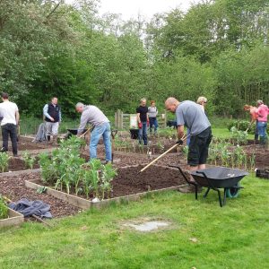 2026-2027 RHS Level 2 Certificate in Practical Horticulture Ryton Tues