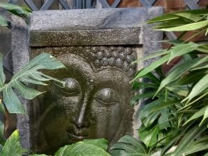 RHS Qualifications Level 2 Certificate in Plant Growth and Development image for BEST in Horticulture course page