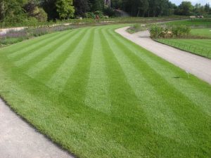 BEST Bytes lawns course successful establishment