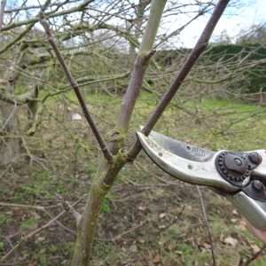 B.E.S.T. Taster Courses