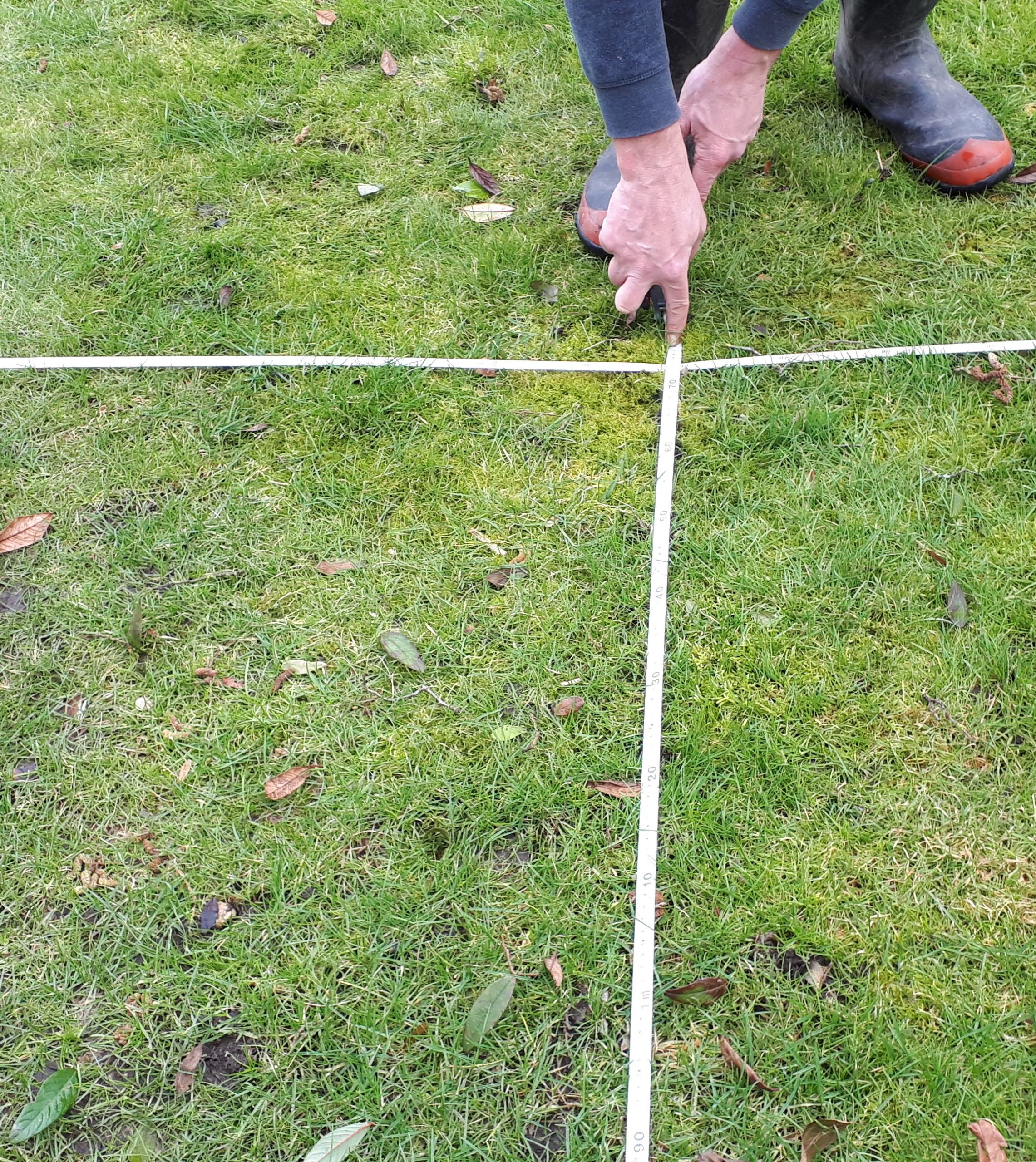 Planning a Garden Module 2: Measuring Up