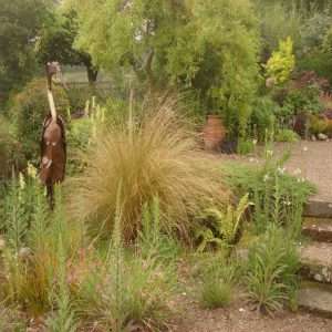 Planning a Garden Module 1: Gathering Information